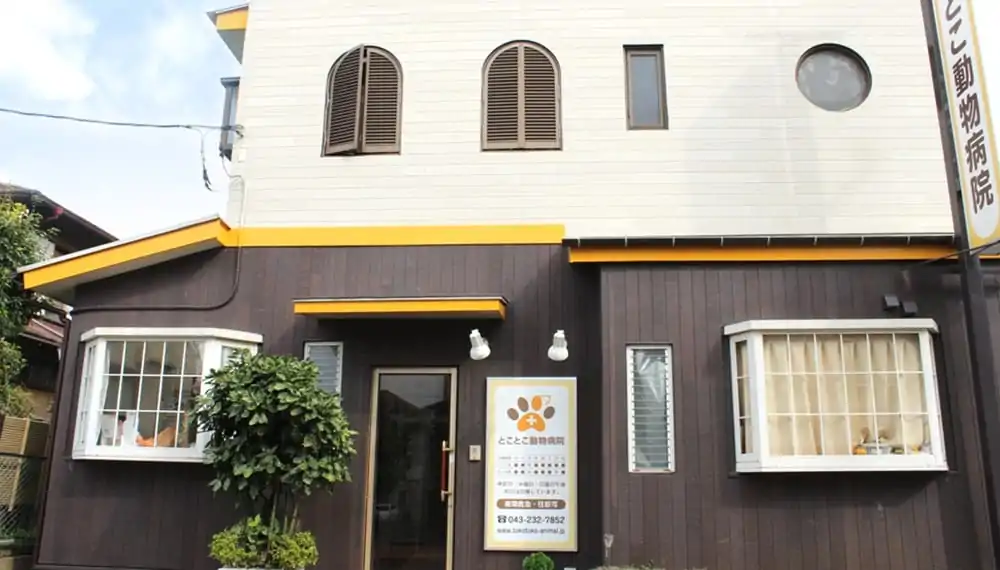 とことこ動物病院