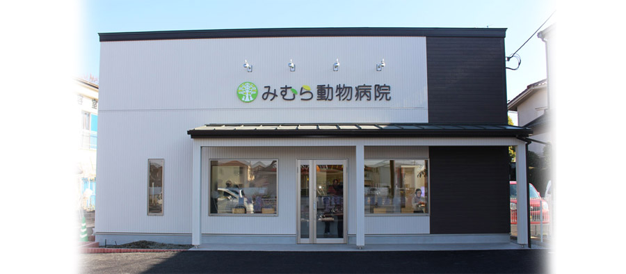 みむら動物病院