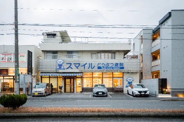 スマイルどうぶつ病院美浜