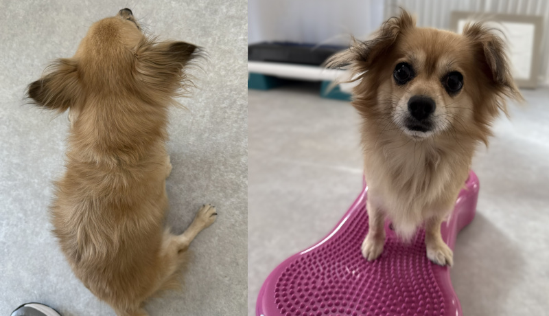 体幹トレーニング